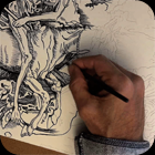 Timelapse